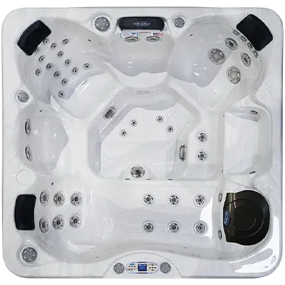 Avalon EC-849L hot tubs for sale in Palmdale