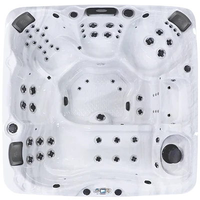 Avalon EC-867L hot tubs for sale in Palmdale
